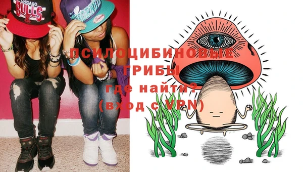 хмурый Абинск