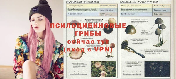 трава Абдулино