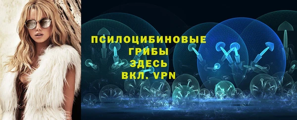 соль ск Саяногорск