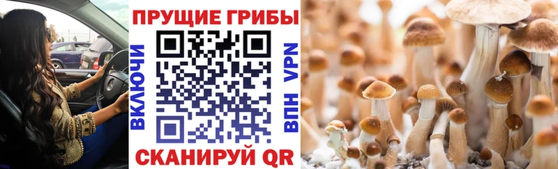 ОМГ ОМГ зеркало  что такое наркотик  Азов  Галлюциногенные грибы ЛСД 
