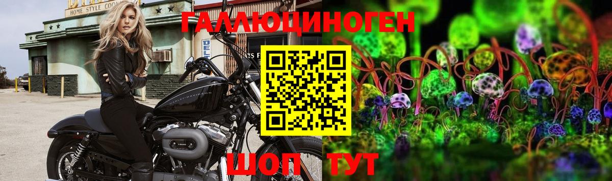 Галлюциногенные грибы Psilocybe  Галлюциногенные грибы прущие грибы  Вход с VPN  Азов 